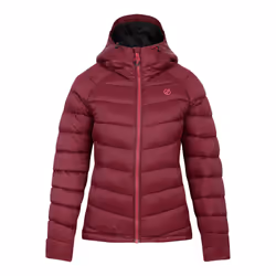 Dare 2B Womens/Ladies Torrek Baffled Padded Jacket - 6 UK, Fig