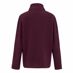 Regatta Great Outdoors Childrens/Kids King II Lightweight Full Zip Fleece Jacket - 14 Years, Fig