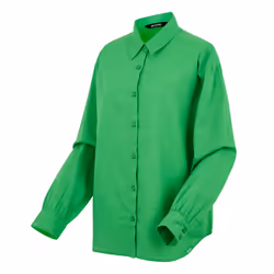 Regatta Womens/Ladies Primevere II Shirt - 18 UK, Island Green