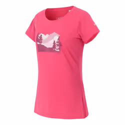 Regatta Womens/Ladies Breezed V Pine Tree T-Shirt - 8 UK, Pop