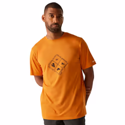 Regatta Mens Fingal Hiker Stretch T-Shirt - L, Fox