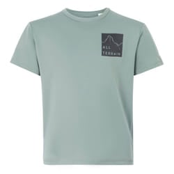Regatta Childrens/Kids Alvarado IX Mountain T-Shirt - 3-4 Years, Glacier