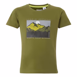 Regatta Childrens/Kids Bosley VIII Mountain T-Shirt - 7-8 Years, Nephrite Green