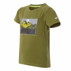 Regatta Childrens/Kids Bosley VIII Mountain T-Shirt - 7-8 Years, Nephrite Green