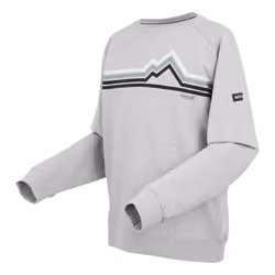 Regatta Mens Nithsdale Linear Mountain Crew Neck Sweatshirt - L, Grey Marl