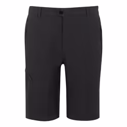 Regatta Mens Highton II Long Length Walking Casual Shorts - 32R, Ash