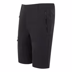 Regatta Mens Highton II Long Length Walking Casual Shorts - 32R, Ash