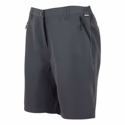 Regatta Womens/Ladies Chaska III Walking Shorts - 16 UK, Seal Grey