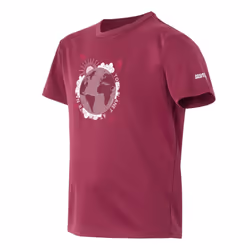 Regatta Childrens/Kids Alvarado IX Earth T-Shirt - 14 Years, Beaujolais