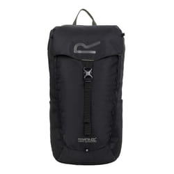 Regatta Survivor V 20L Backpack - One Size, Ash