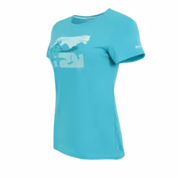 Regatta Womens/Ladies Fingal Landscape Stretch T-Shirt - 8 UK, Turquoise
