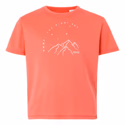 Regatta Childrens/Kids Alvarado IX Mountain T-Shirt - 11-12 Years, Peach Bloom