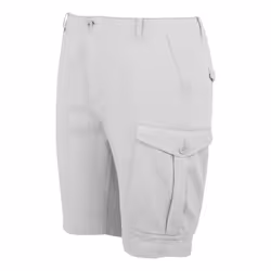 Regatta Mens Bendrick Shorts - 32R, Iceberg