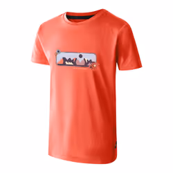 Dare 2B Childrens/Kids Amuse II Mountain T-Shirt - 13 Years, Peach Bloom