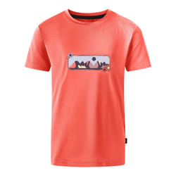 Dare 2B Childrens/Kids Amuse II Mountain T-Shirt - 14 Years, Peach Bloom