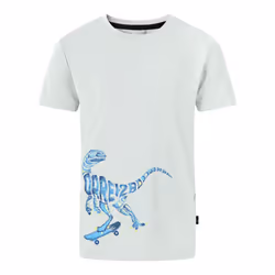 Dare 2B Boys Amuse II Velociraptor T-Shirt - 14 Years, Aqua Grey
