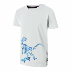 Dare 2B Boys Amuse II Velociraptor T-Shirt - 14 Years, Aqua Grey