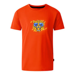 Dare 2B Childrens/Kids Amuse II Tiger T-Shirt - 15 Years, Seville Red