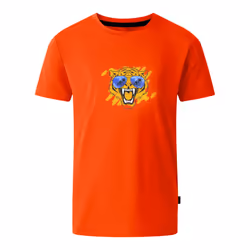 Dare 2B Childrens/Kids Amuse II Tiger T-Shirt - 11-12 Years, Seville Red