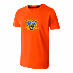 Dare 2B Childrens/Kids Amuse II Tiger T-Shirt - 11-12 Years, Seville Red