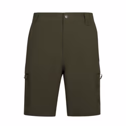 Trespass Mens Dalham Shorts - S, Dark Vine