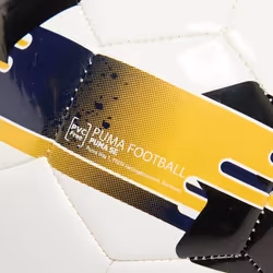Puma Orbita 6 SPFL Football