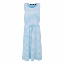 Regatta Womens/Ladies Ariena Painterly Stripe Casual Dress - 10 UK, Chambray Blue/White