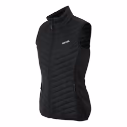 Regatta Womens/Ladies Andreson Hybrid Gilet - 16 UK, Black