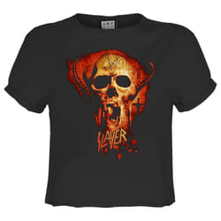 Amplified Womens/Ladies Legacy Skull Slayer Crop T-Shirt - L, Charcoal