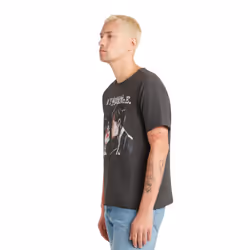 Amplified Unisex Adult Three Cheers My Chemical Romance T-Shirt - XS, Charcoal