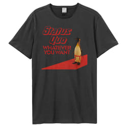 Amplified Unisex Adult Whatever Penguin T-Shirt - XL, Charcoal
