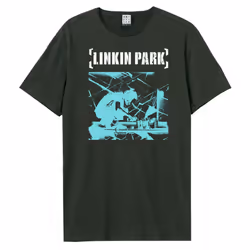 Amplified Unisex Adult Meteora Xray Linkin Park T-Shirt - M, Charcoal