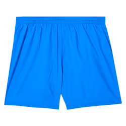 Speedo Boys Essential 13 Swim Shorts