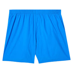 Speedo Boys Essential 13 Swim Shorts