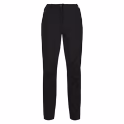 Regatta Womens/Ladies Dayhike IV Hiking Trousers - 8 UK R, Black