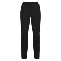 Regatta Womens/Ladies Dayhike IV Hiking Trousers - 8 UK R, Black