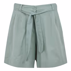 Regatta Womens/Ladies Sabela II Shorts - 16 UK, Glacier