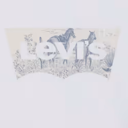 Levis Womens/Ladies The Perfect T-Shirt