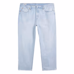 Levis Womens/Ladies 501 90s Plus Jeans - 24 UKR, Light Blue