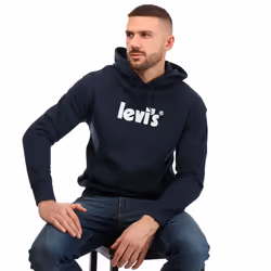 Levis Mens Graphic Relaxed Fit Hoodie - S, Dark Blue