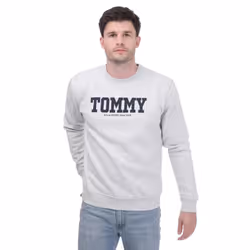 Tommy Hilfiger Unisex Adult Back Print Logo Sweatshirt - L, Silver