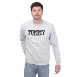 Tommy Hilfiger Unisex Adult Back Print Logo Sweatshirt - L, Silver
