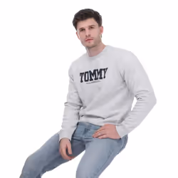 Tommy Hilfiger Unisex Adult Back Print Logo Sweatshirt - XL, Silver