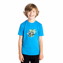 Dare 2B Childrens/Kids Amuse II T-Shirt - 15 Years, Spring Break