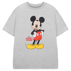 Disney Boys Mickey Mouse Short-Sleeved T-Shirt - 3-4 Years, Grey