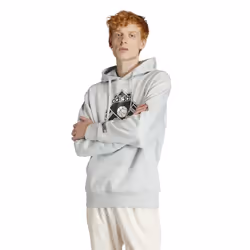 Adidas Mens Graphic Hoodie - XS, Silver
