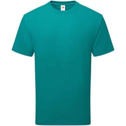 Fruit of the Loom Unisex Adult Cotton T-Shirt - S, Ocean Teal