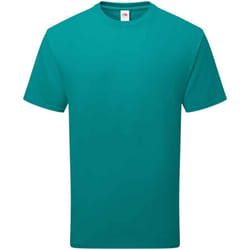 Fruit of the Loom Unisex Adult Cotton T-Shirt - XXL, Ocean Teal