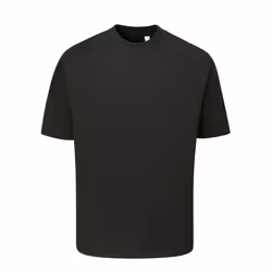 Mantis Unisex Adult Heavyweight Oversized T-Shirt - XS, Black