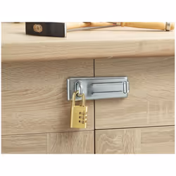 Master Lock Brass Finish Combination Padlock
